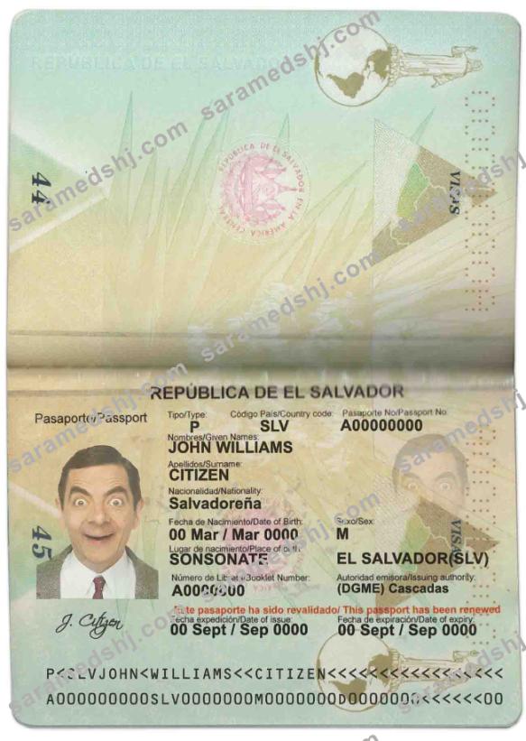 Salvador passport